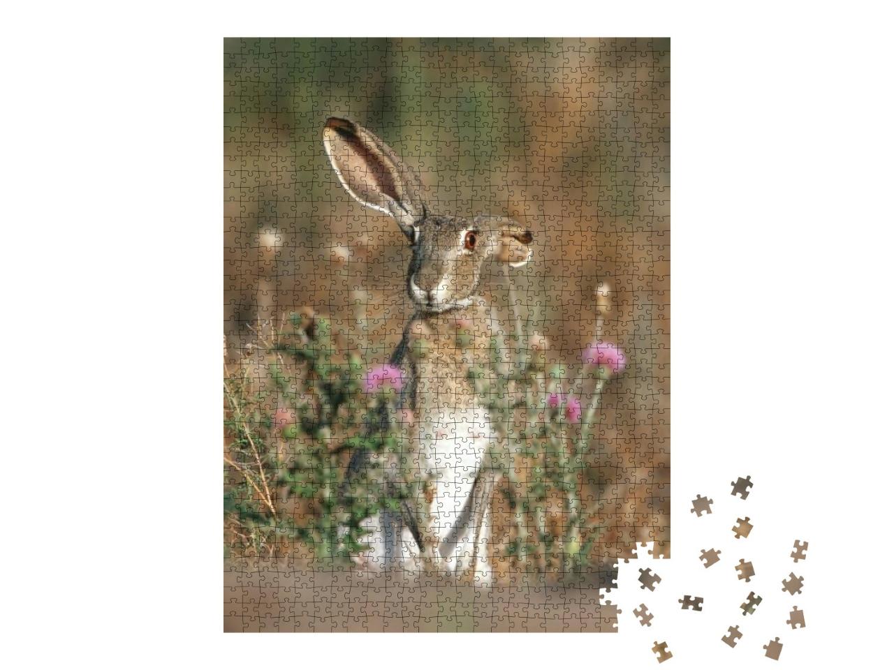 Puzzle 1000 Teile „Schwarzschwanz-Kaninchen mit langen Ohren, Texas, USA“