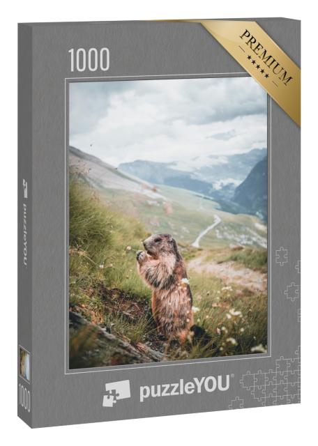 Puzzle 1000 Teile „Alpenmurmeltier auf einem Berghang in Österreich“