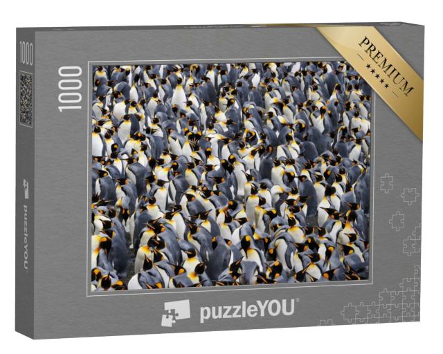 Puzzle 1000 Teile „Königspinguin-Kolonie“