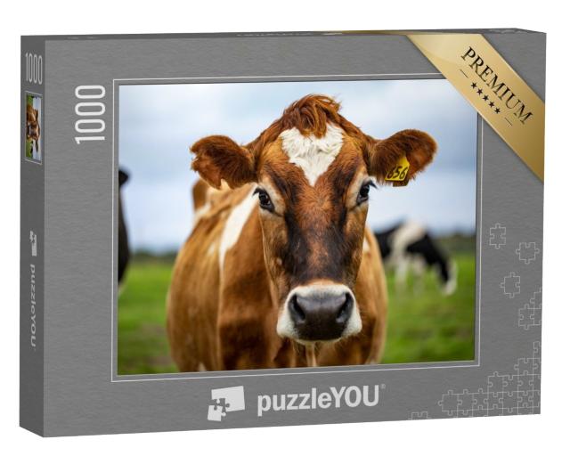 Puzzle 1000 Teile „Auge in Auge mit einer braun gefleckten Kuh“
