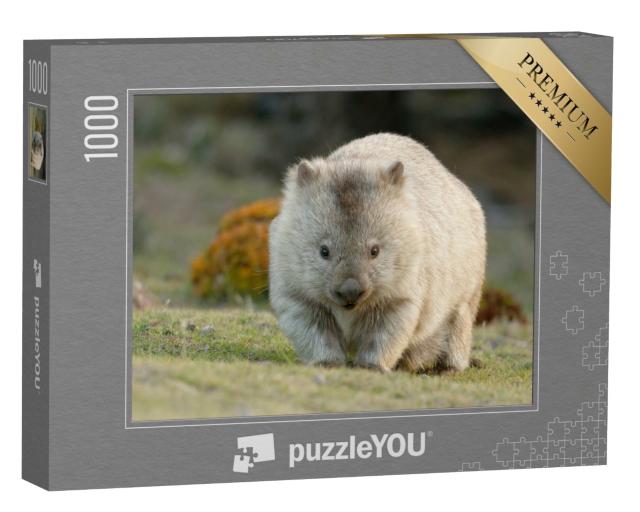 Puzzle 1000 Teile „Australischer Wombat, auch bekannt als Grobhaariger oder Nacktnasenbär“