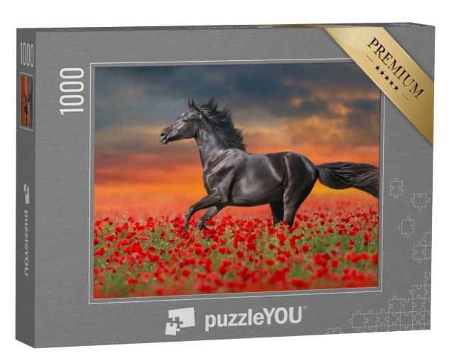 Puzzle 1000 Teile „Schwarzes Pferd in roten Mohnblumen“