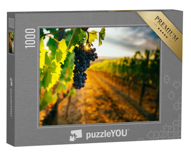 Puzzle 1000 Teile „Sonnenuntergang über den Weinbergen der Toskana“