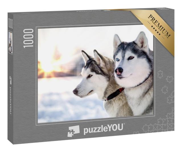 Puzzle 1000 Teile „Zwei Sibirische Huskys im winterlichen Sonnenuntergang“
