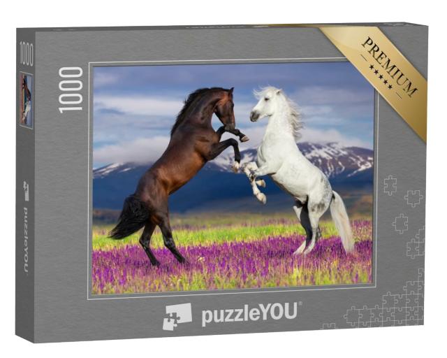 Puzzle 1000 Teile „Wilde Schönheit: Zwei tanzende Pferde“