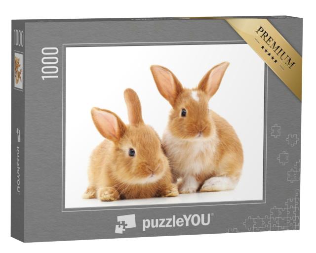 Puzzle 1000 Teile „Zwei kleine hellbraune Kaninchen“