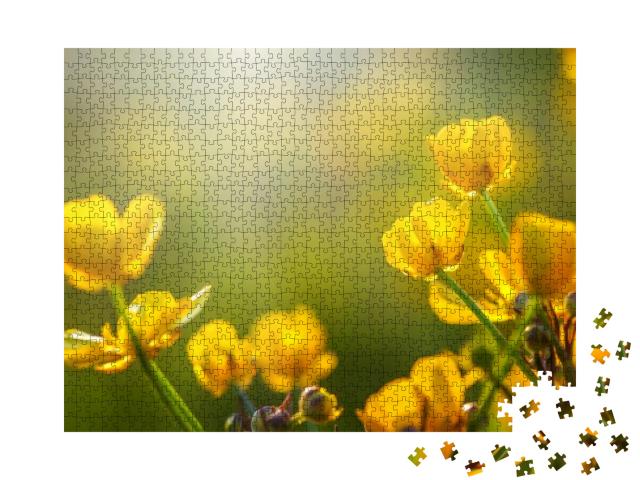 Puzzle 1000 Teile „Feld mit Frühlingsblumen im Sonnenlicht“