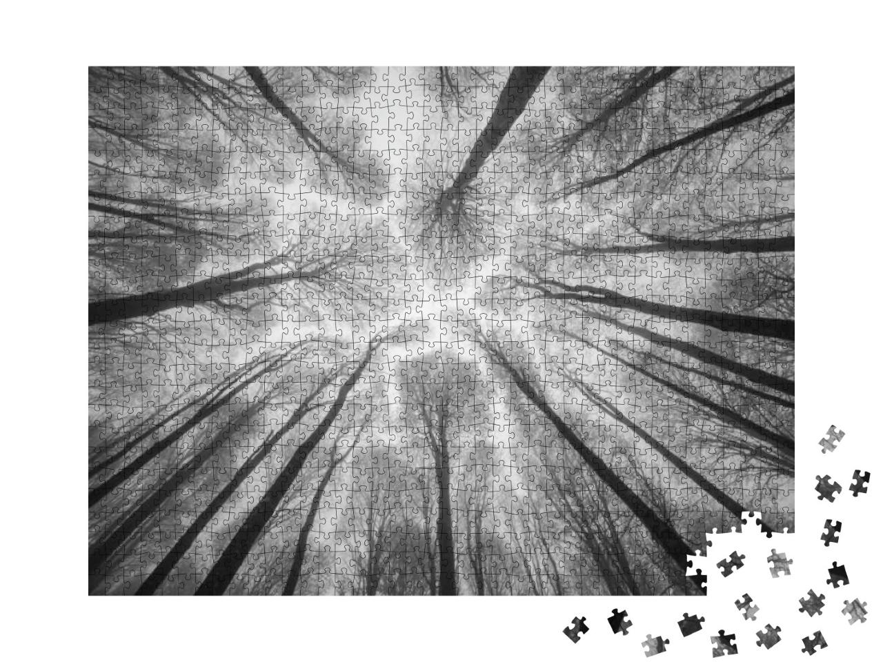 Puzzle 1000 Teile „Abstrakte Fotografie: Bäume ragen in den nebligen Himmel “