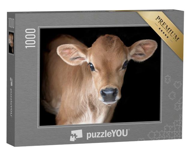 Puzzle 1000 Teile „Süßes Jersey Kalb“