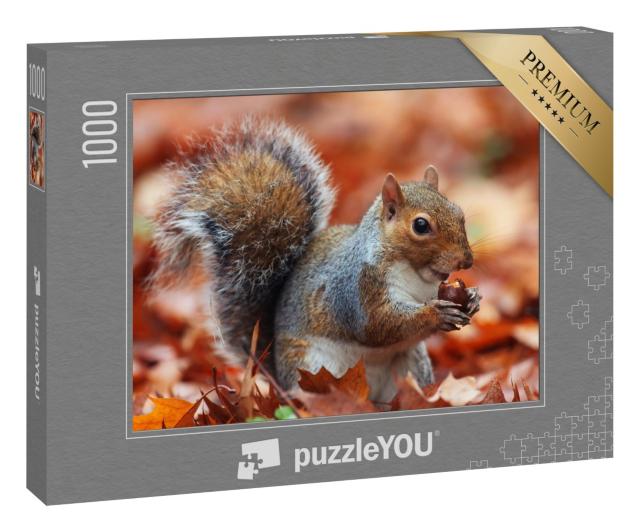 Puzzle 1000 Teile „Eichhörnchen im Herbst mit Eichel“