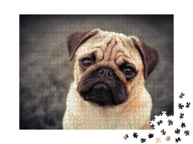 Puzzle 1000 Teile „Ein Mops-Welpe“