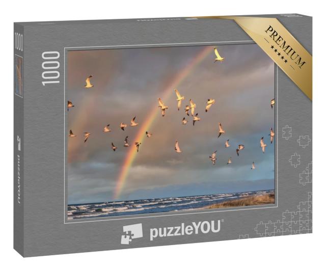 Puzzle 1000 Teile „Möwenschwarm im Flug unter einem Regenbogen an der Ostsee“