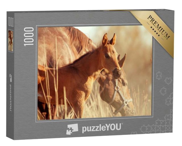 Puzzle 1000 Teile „Stute und Fohlen im Sonnenuntergang“