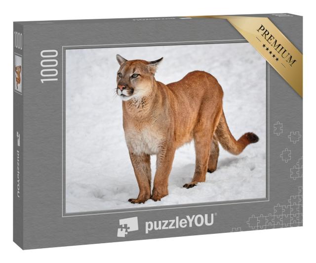 Puzzle 1000 Teile „Puma als Wildkatze im Schnee“