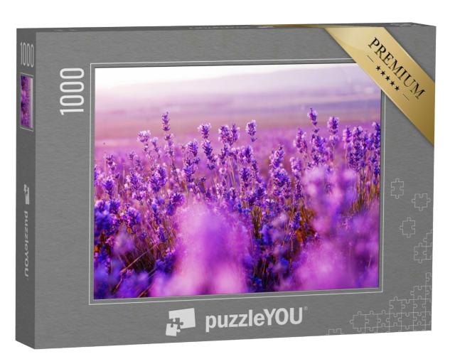 Puzzle 1000 Teile „Wunderschönes Lavendelfeld im Sommer“