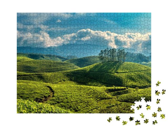 Puzzle 1000 Teile „Kerala, Indien: Hügel mit Teeplantagen“