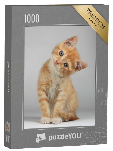 Puzzle 1000 Teile „Niedliches kleines Kätzchen“