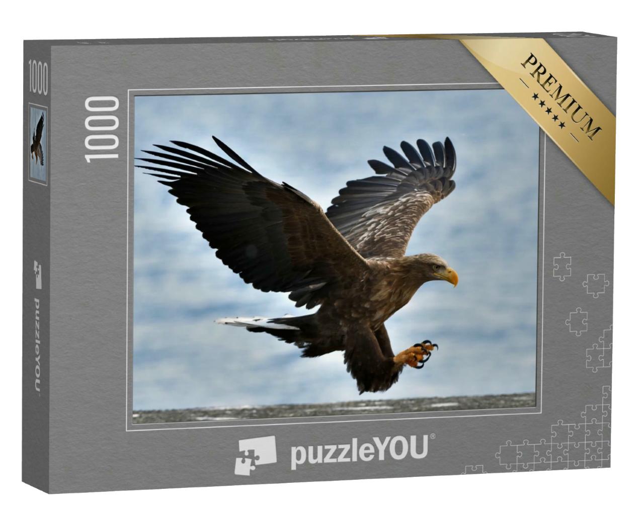 Puzzle 1000 Teile „Seeadler fliegt vor blauem Himmel“