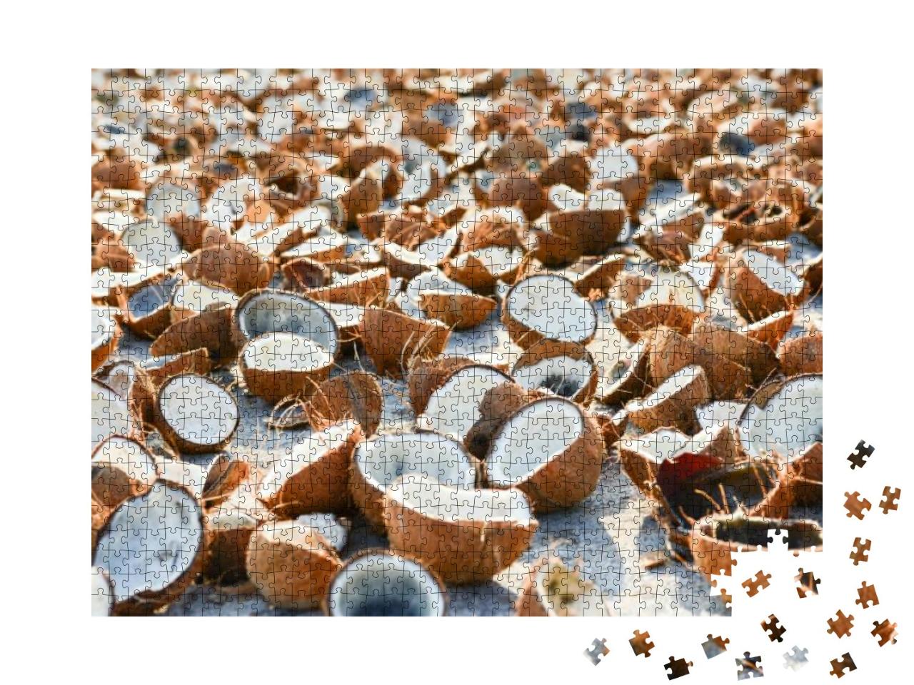 Puzzle 1000 Teile „Geöffnete Kokosnüsse“