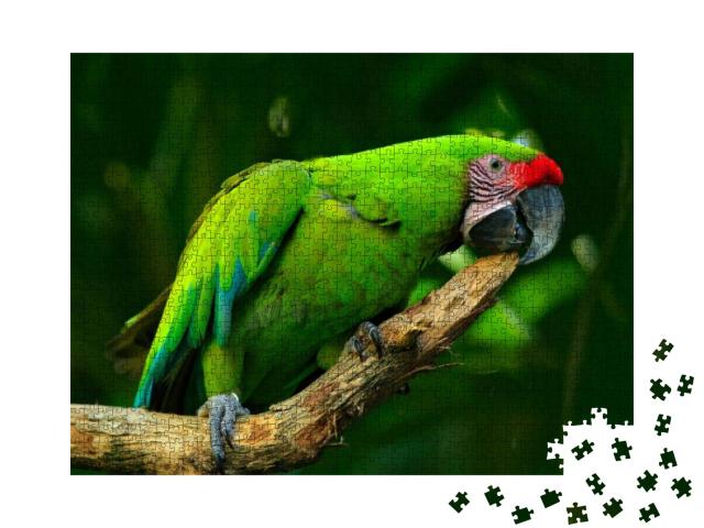 Puzzle 1000 Teile „Großer Grüner Ara, seltener Vogel aus Costa Rica“