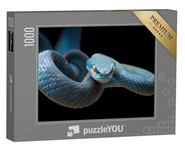 Puzzle 1000 Teile „Blaue Viper auf dem Zweig bereit, Beute anzugreifen“