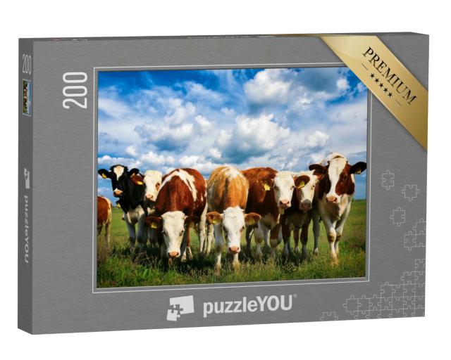 Puzzle 200 Teile „Kühe auf einer grünen Sommerwiese“