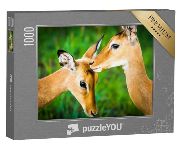 Puzzle 1000 Teile „Junge Impala-Antilope“