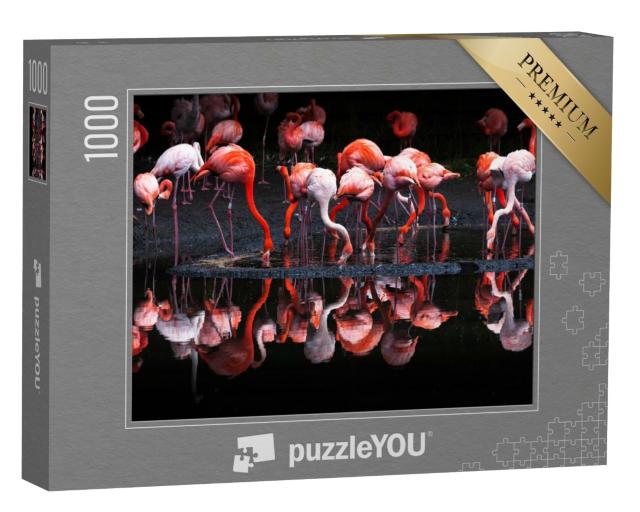 Puzzle 1000 Teile „Gruppe von leuchtenden Flamingos“