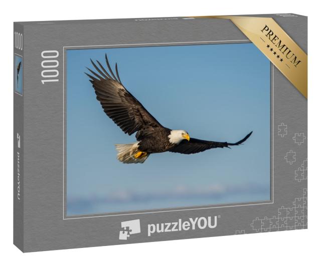 Puzzle 1000 Teile „Weißkopfseeadler, der gegen den klaren blauen Himmel Alaskas aufsteigt“