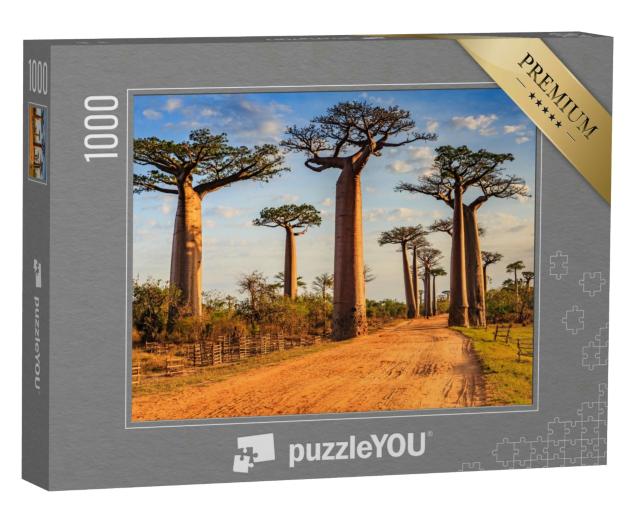 Puzzle 1000 Teile „Einzigartige Baobab-Bäume in der Allee der Baobabs, Madagaskar“