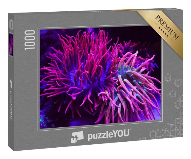Puzzle 1000 Teile „Strahlend violette Korallen in einem Aquarium“