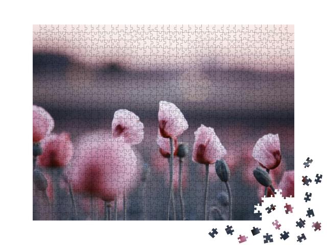 Puzzle 1000 Teile „Wiese mit Fliedermohnblüten im Frühsommer “