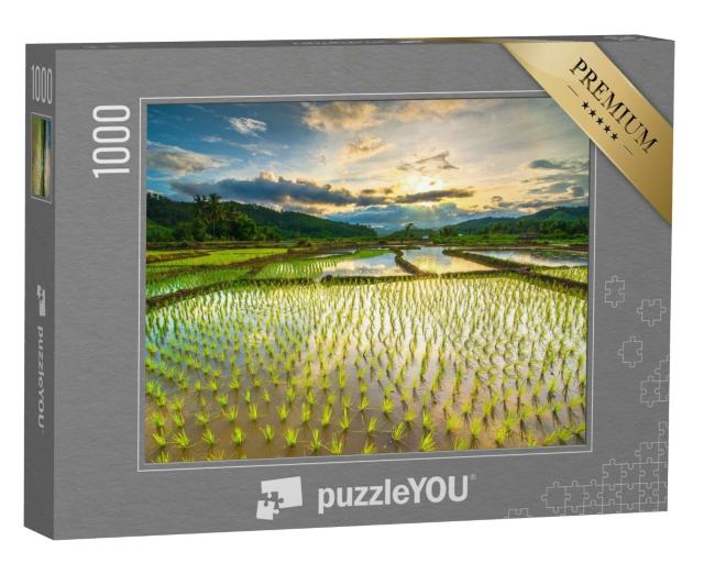 Puzzle 1000 Teile „Schöne Reisfelder“