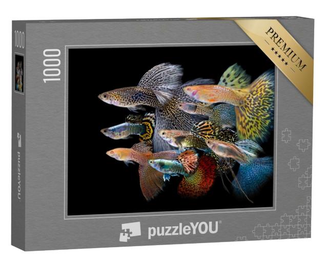 Puzzle 1000 Teile „Bunte Guppy Fische“