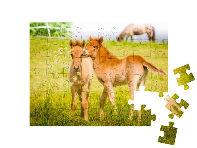 Puzzle 48 Teile „Spielende Fohlen auf der Wiese“