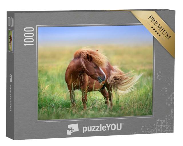 Puzzle 1000 Teile „Pony auf der Weide im Frühlingswind“