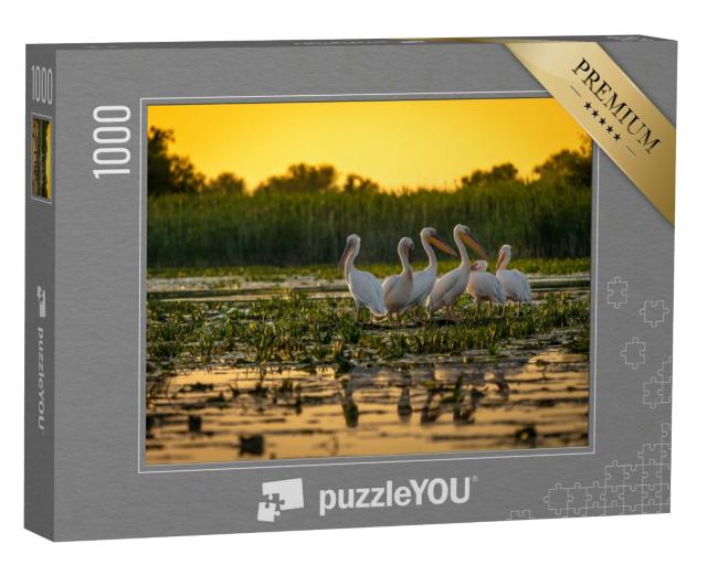 Puzzle 1000 Teile „Pelikane bei Sonnenuntergang, Donau, Rumänien“