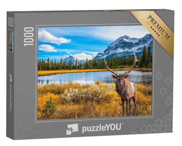 Puzzle 1000 Teile „Französisch-Kanada: ein Golfplatz umgeben von schönem Herbstpark“