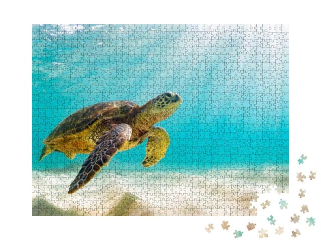 Puzzle 1000 Teile „Meeresschildkröte im Gewässer der Galapagos-Inseln“