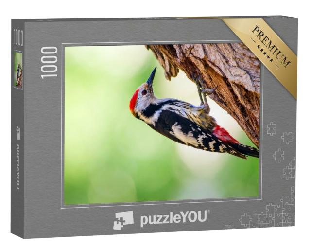 Puzzle 1000 Teile „Ein Specht am Baum“