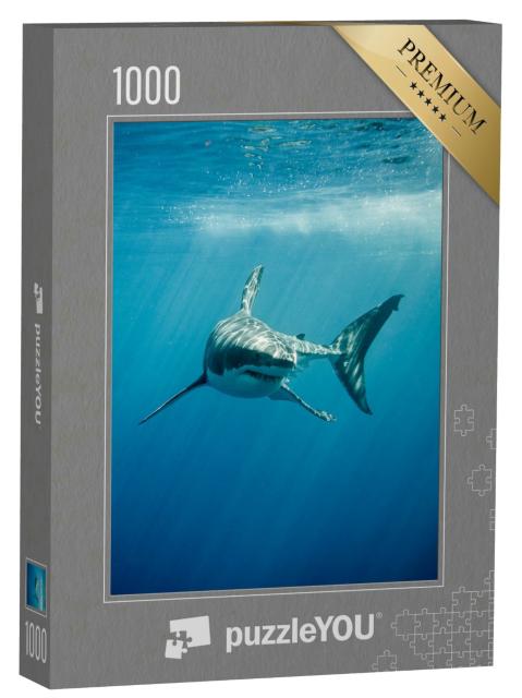 Puzzle 1000 Teile „Weißer Hai im blauen Ozean“