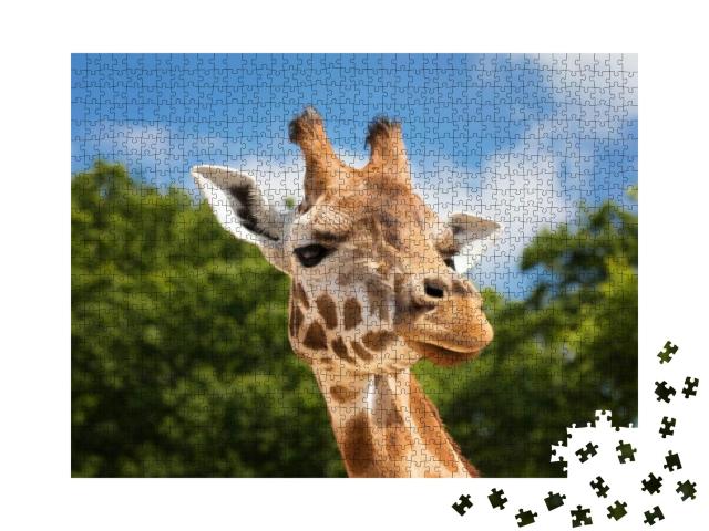 Puzzle 1000 Teile „Neugierige Giraffe“