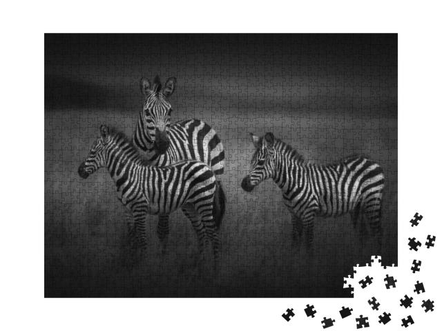 Puzzle 1000 Teile „Zebra-Mutter mit zwei Jungtieren,, Tansania“