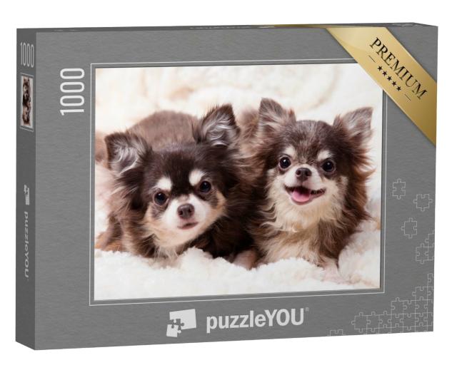 Puzzle 1000 Teile „Niedliche Chihuahua-Hunde auf einer Decke“