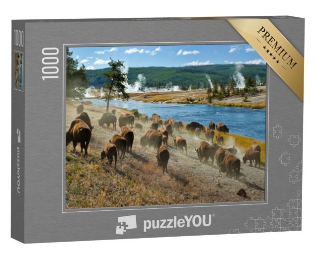 Puzzle 1000 Teile „Eine Bisonherde am Firehole River im Yellowstone Nationalpark“