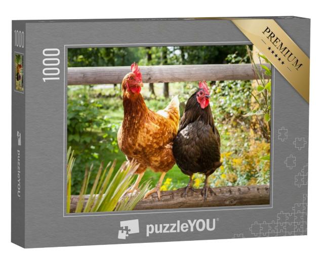 Puzzle 1000 Teile „Glückliche Hühner auf einem Holzzaun im Freien“