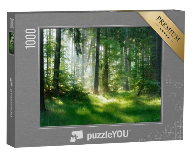 Puzzle 1000 Teile „Eine mystische Atmosphäre im Fichtenwald“