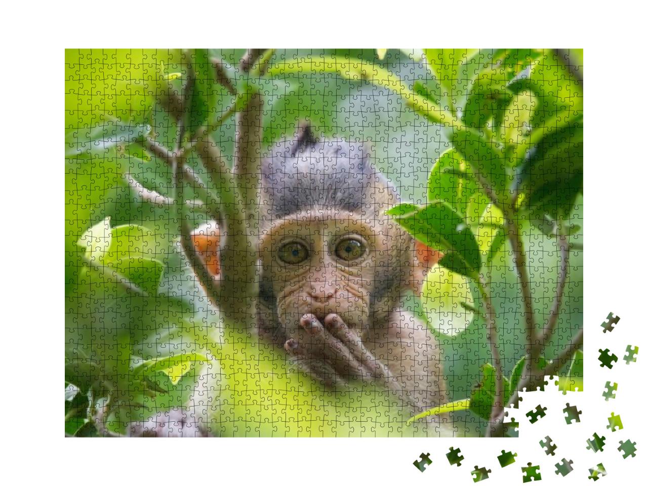 Puzzle 1000 Teile „Ein Affe in einem Wald in Thailand“