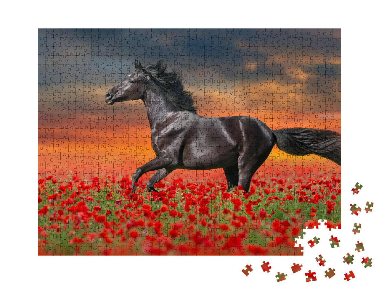 Puzzle 1000 Teile „Schwarzes Pferd in roten Mohnblumen“