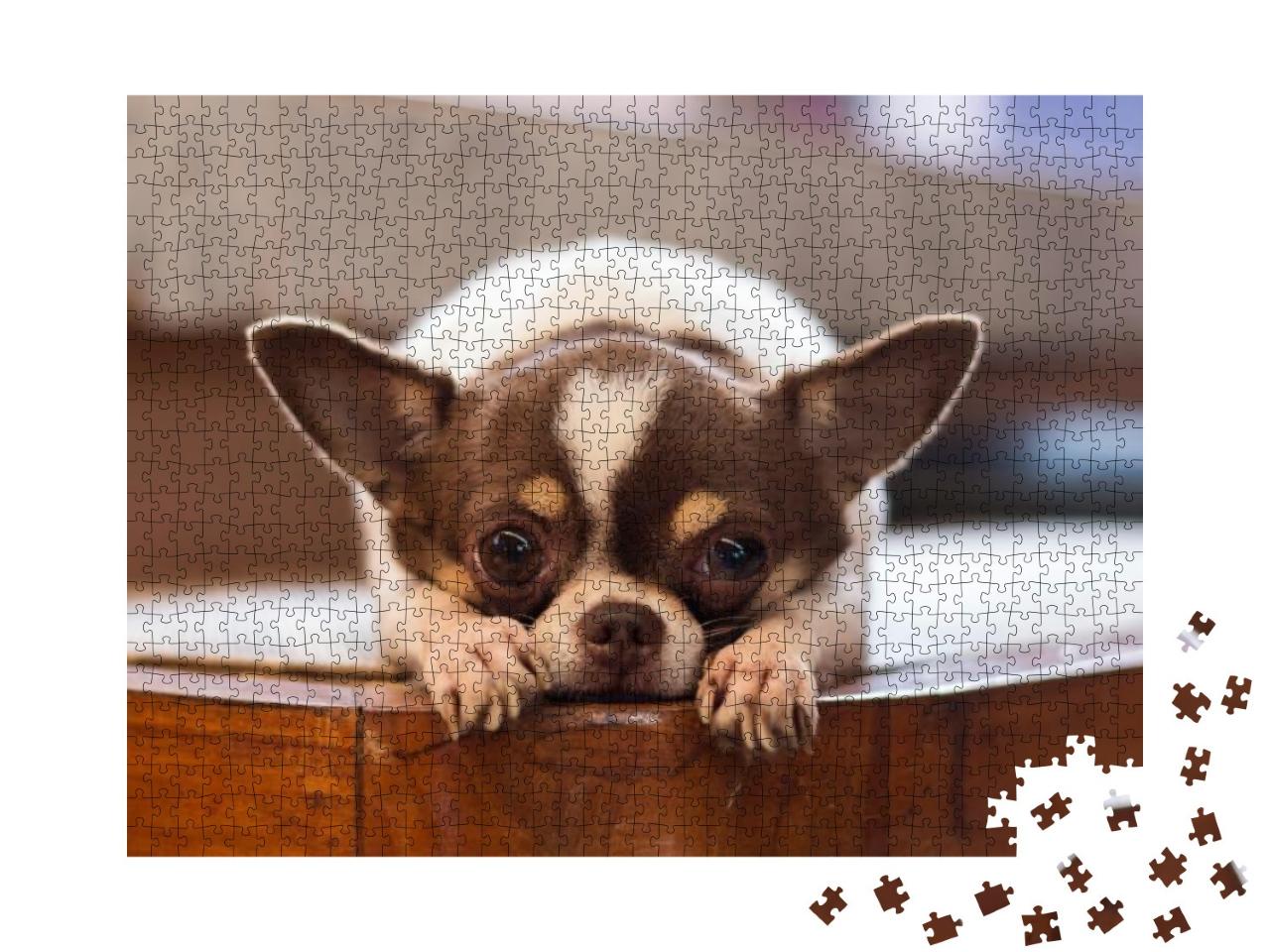 Puzzle 1000 Teile „Einsamer Hund “